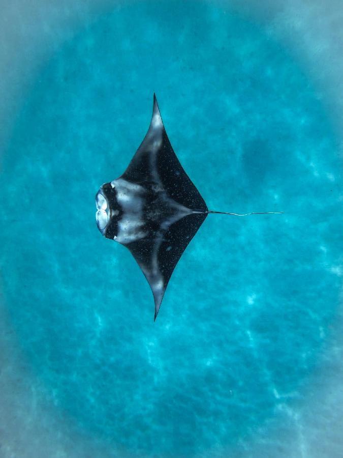 The Pearl Seaview Ξενοδοχείο Fulidhoo Εξωτερικό φωτογραφία